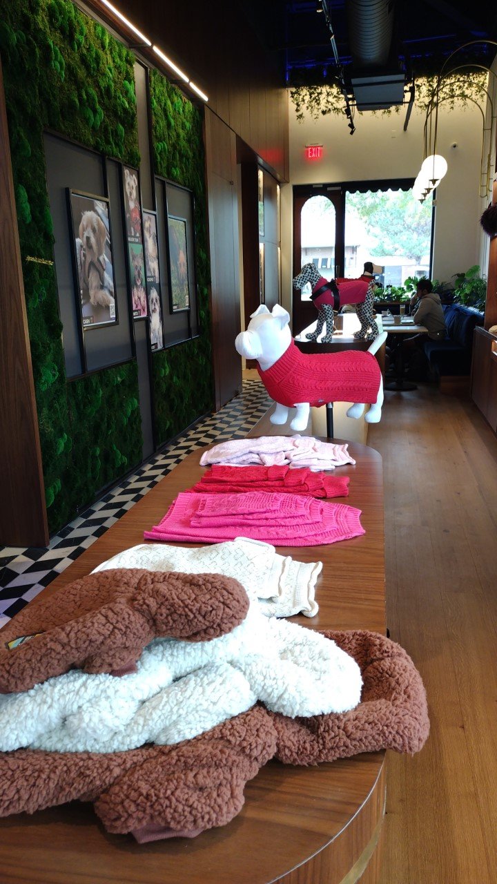 Pucci Cafe sells dog sweaters, among other accessories.
